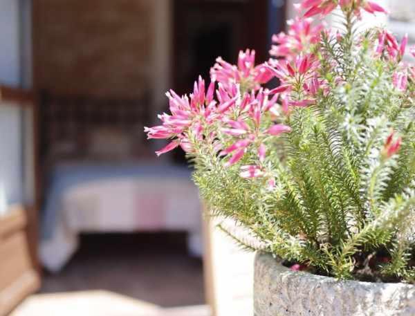 Casa Rural La Tayuela Luanco Εξωτερικό φωτογραφία